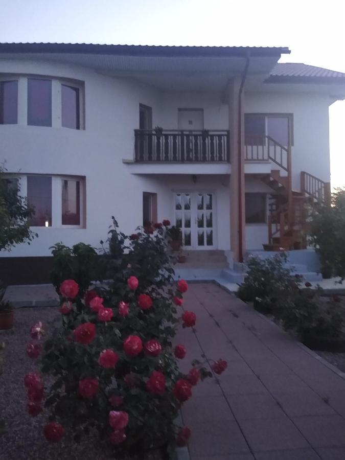 Casa Doina Hotel Douazeci si Trei August Exterior photo