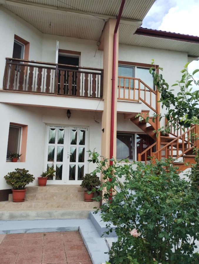 Casa Doina Hotel Douazeci si Trei August Exterior photo