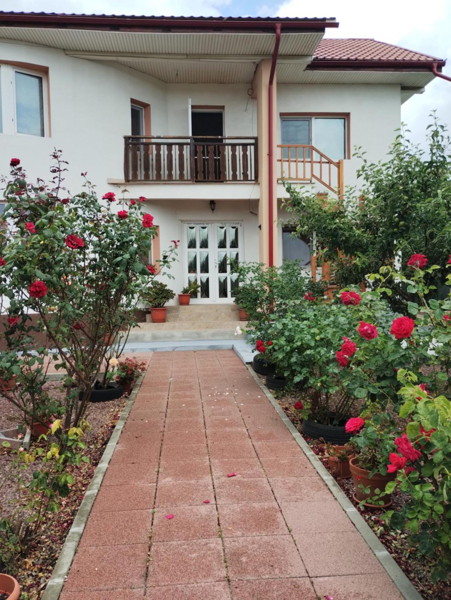 Casa Doina Hotel Douazeci si Trei August Exterior photo